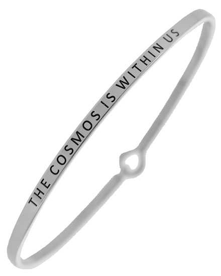 THE COSMOS IS WITHIN US