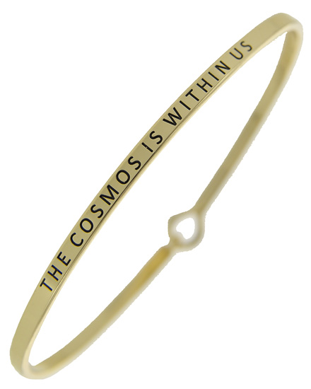 THE COSMOS IS WITHIN US