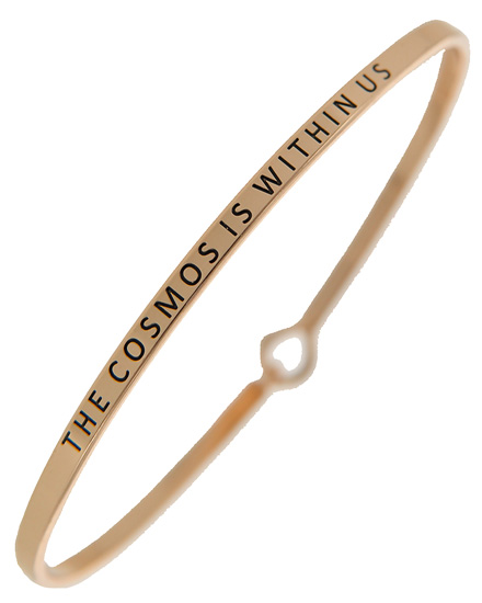 THE COSMOS IS WITHIN US